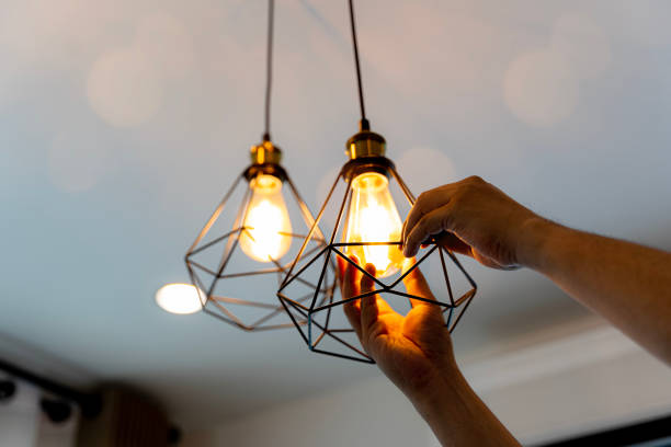 Best Electrician for Home Renovation  in East Flat Rock, NC